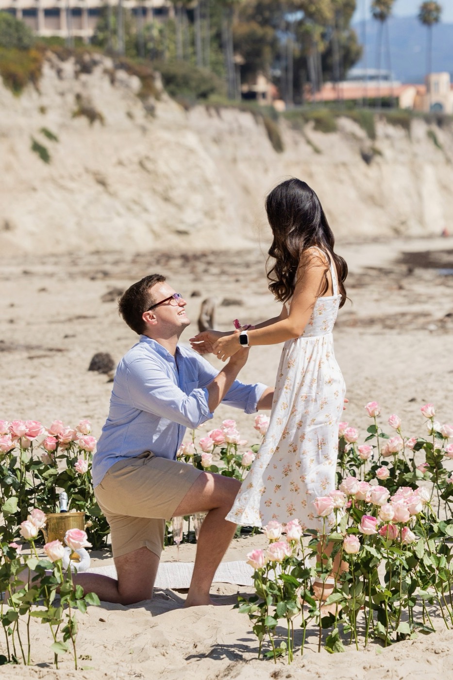 Beach proposal